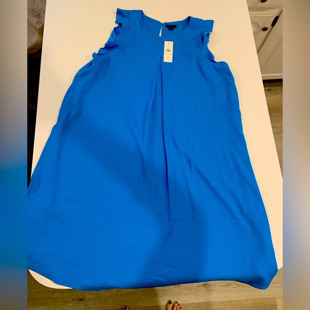 NWT  Large Sleeveless  Ann Taylor Dress